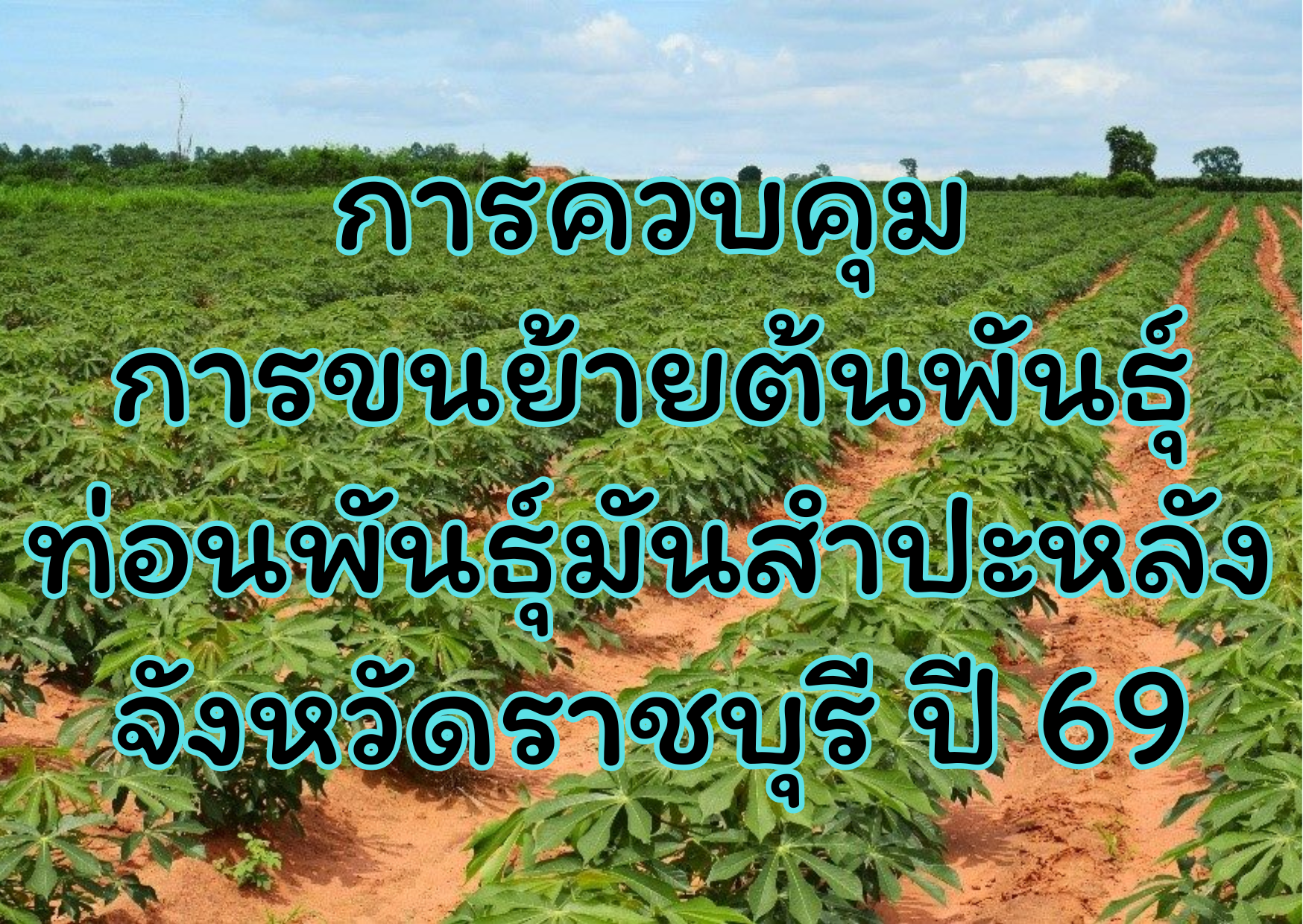 ประกาศ กจร.การควบคุมการขนย้ายต้นพันธ์ุ ท่อนพันธุ์มันสำปะหลัง ของจังหวัดราชบุรี ปี 69